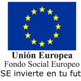 Logo FSE